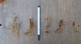 이기자농장님의 작성글 사진