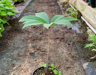 이기자농장님의 작성글 사진