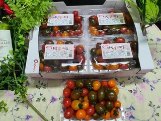 알 수 없음님의 토마토 · 저장•가공 작성글 사진