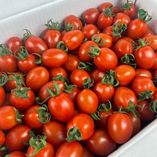 알 수 없음님의 토마토 · 저장•가공 작성글 사진