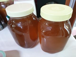 알 수 없음님의 작성글 사진