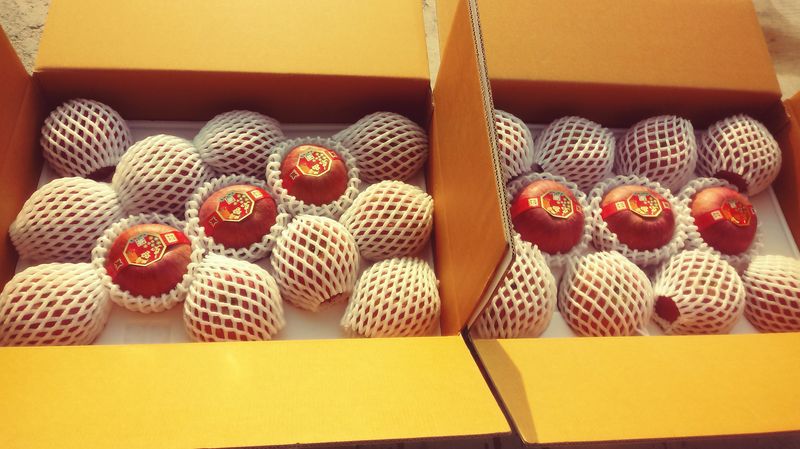 장터 상품 [새콤달콤 아삭 찐한맛 부사 설선물용  주스용 10k] 썸네일