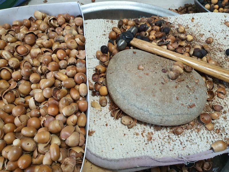 장터 상품 [토종도토리가루1키로] 썸네일