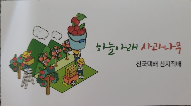 김주영님의 장터 판매 상품 [🍎 설연휴로 12일 오늘까지 택배 주문 받아요 🍎 ] 첨부 사진