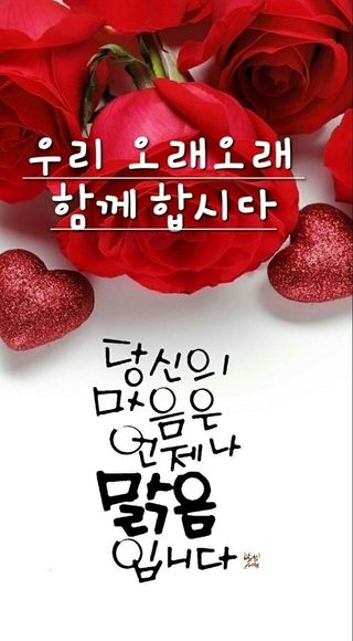 SOUL님의 기타작물 · 자유게시판 작성글 사진