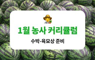 팜모닝 농사도우미님의 기타작물 · 농사길잡이 작성글 사진