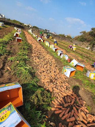 김태환님의 작성글 사진