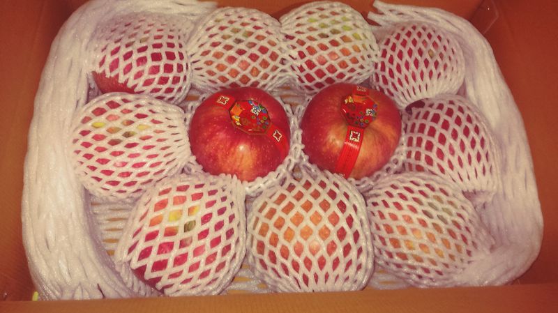 이윤동님의 장터 판매 상품 [새콤달콤아삭찐한맛부사(미얀마)설선물용5k주스용10k] 첨부 사진