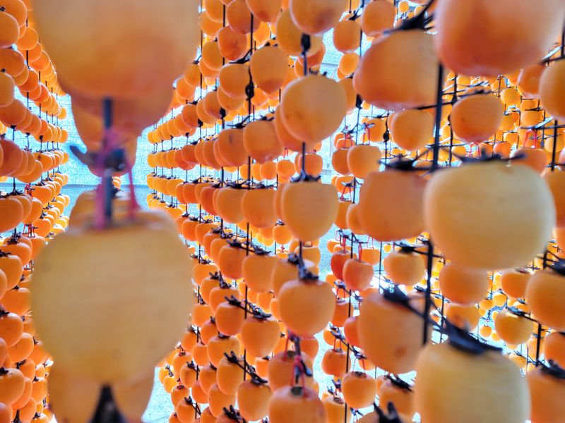 장터 상품 [자연건조 상주곶감(건시/반건시)] 썸네일