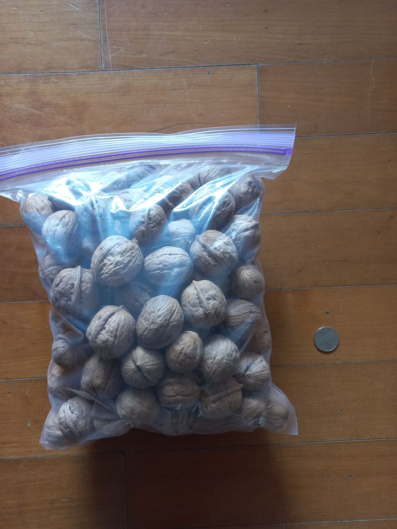 김노형님의 장터 판매 상품 [호두 5kg <판매 완료> ] 첨부 사진