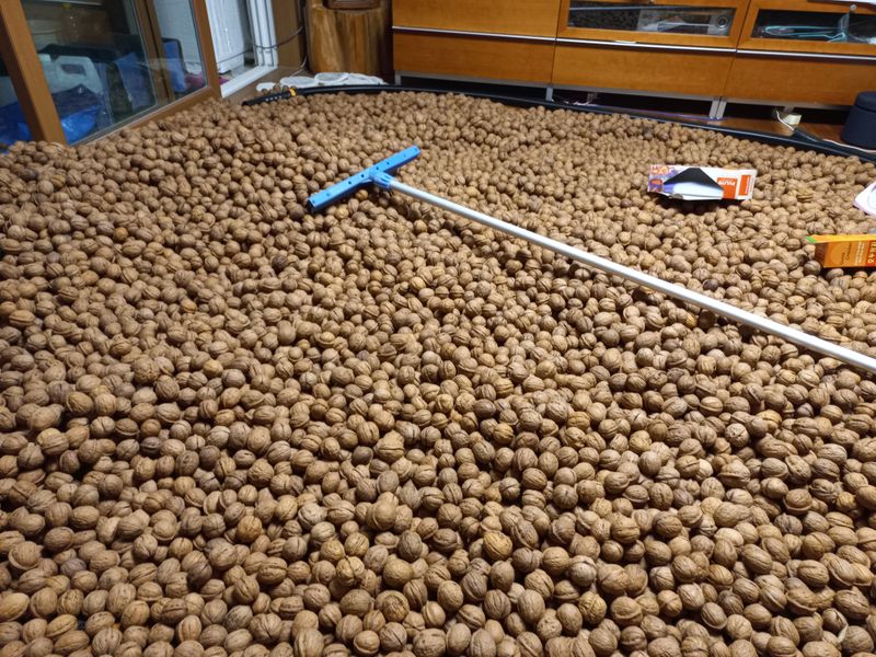 김노형님의 장터 판매 상품 [호두 5kg <판매 완료> ] 첨부 사진