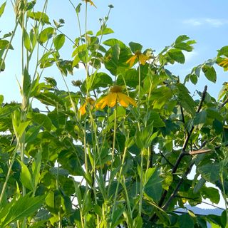 이기자농장님의 작성글 사진