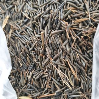 이기자농장님의 기타작물 · 자유게시판 작성글 사진