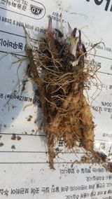 팜모닝 기타작물·자유게시판 게시글 이미지