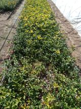 팜모닝 · 게시글 이미지