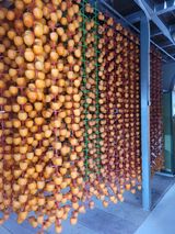 팜모닝 · 게시글 이미지