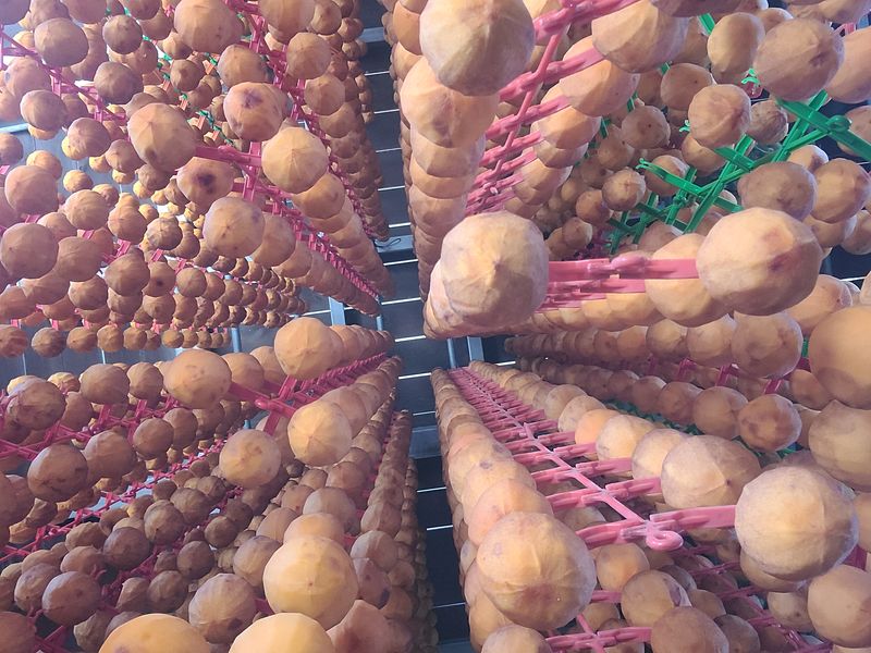 홍상옥님의 장터 판매 상품 [곶감] 첨부 사진