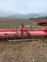 팜모닝 · 게시글 이미지