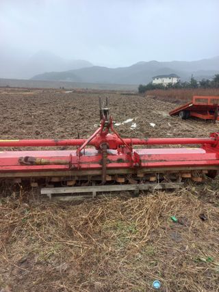 조희후 님의 작성글 사진