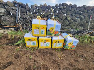 김태환님의 작성글 사진