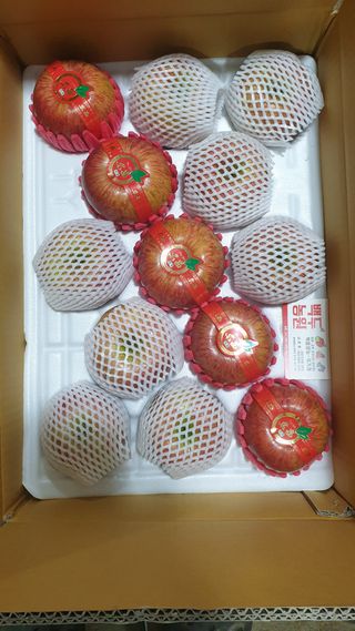 호랑이와인성이님의 사과 · 저장•가공 작성글 사진