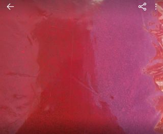 일곱색깔무지개님의 작성글 사진