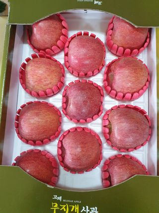 홍석진님의 작성글 사진