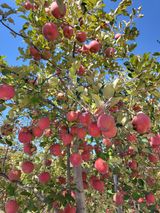 팜모닝 · 게시글 이미지