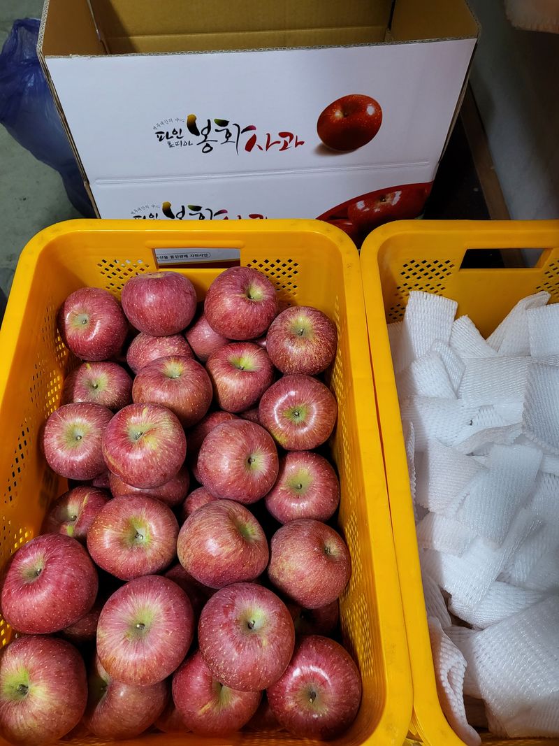 하늘아래사과나무님의 장터 판매 상품 [🍎설연휴로 주말까지 주문 받고 월욜 마지막 배송합니다 🤗] 첨부 사진