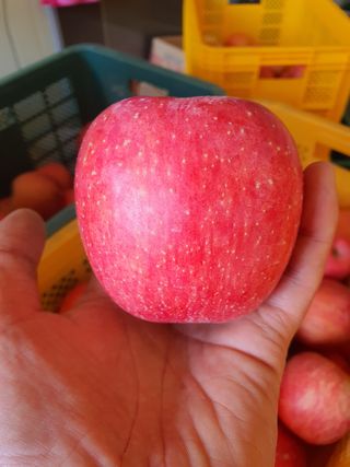 이훈희님의 작성글 사진