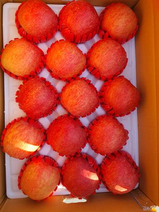 이훈희님의 작성글 사진