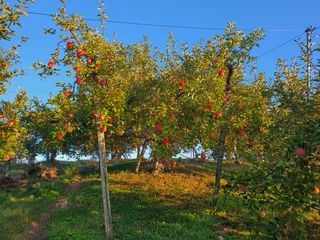 이훈희님의 작성글 사진