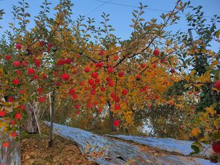 이훈희님의 작성글 사진