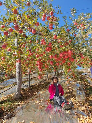 이훈희님의 작성글 사진