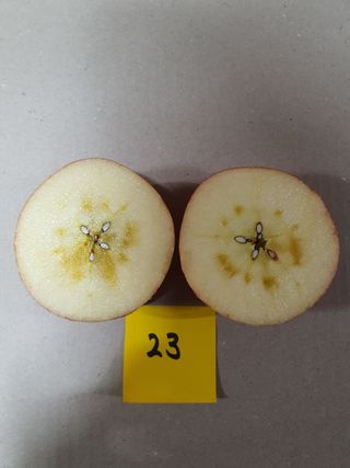 이훈희님의 작성글 사진