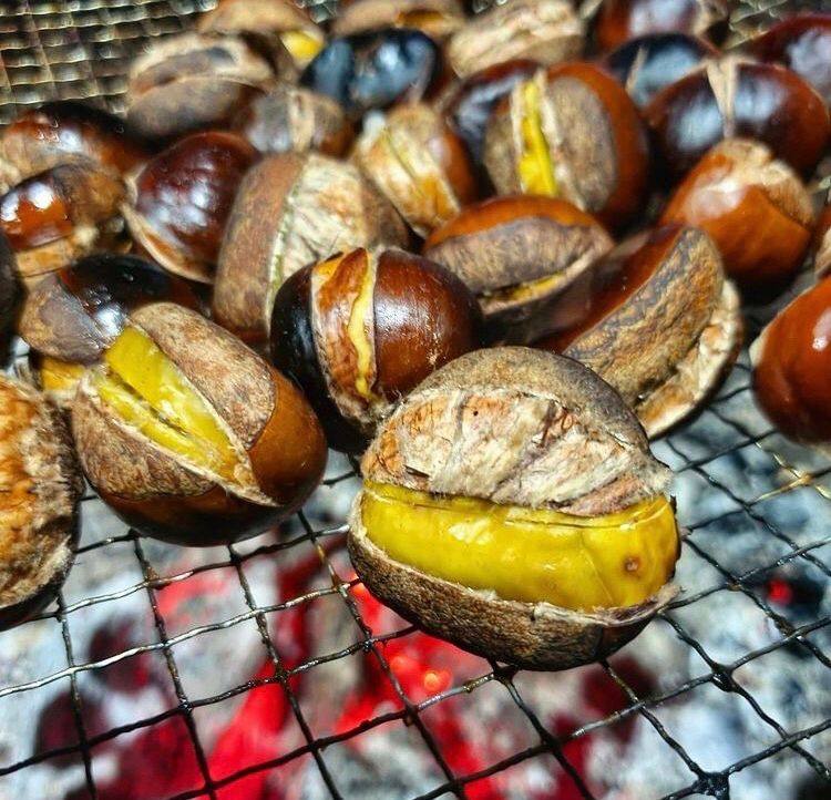 신연희님의 장터 판매 상품 [[판매완료] 토종알밤 4Kg] 첨부 사진