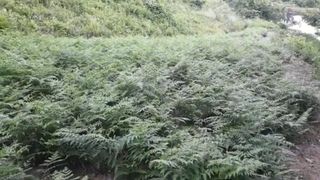 유영선님의 기타작물 · 자유게시판 작성글 사진