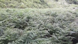 유영선님의 기타작물 · 자유게시판 작성글 사진