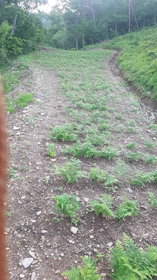 유영선님의 기타작물 · 자유게시판 작성글 사진