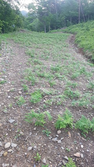 유영선님의 기타작물 · 자유게시판 작성글 사진