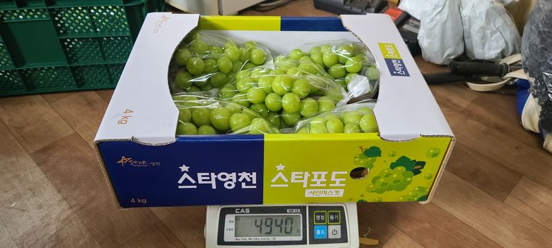 장터 상품 [샤인머스켓 4kg] 썸네일
