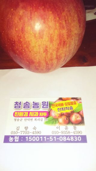 이윤동님의 작성글 사진