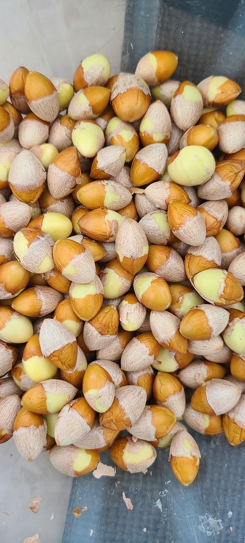 장터 상품 [깐은행 500g] 썸네일