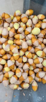 팜모닝 · 게시글 이미지