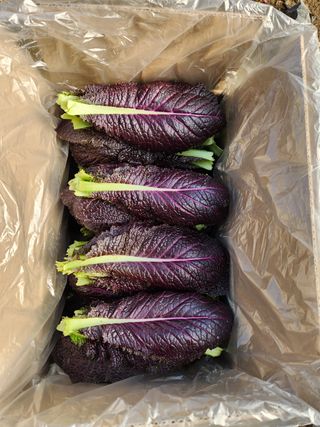 김지윤님의 작성글 사진