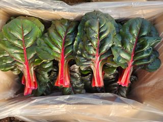 김지윤님의 작성글 사진