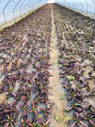 김지윤님의 작성글 사진