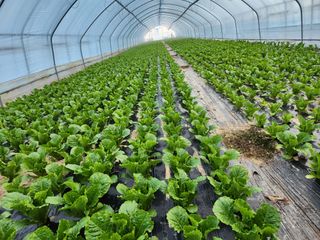 김지윤님의 작성글 사진