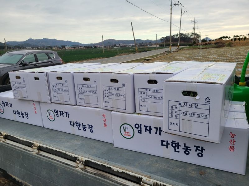 박현대님의 장터 판매 상품 [신안 임자도 임자가다한농장 대파5kg] 첨부 사진