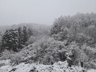이천순님의 기타작물 · 자유게시판 작성글 사진